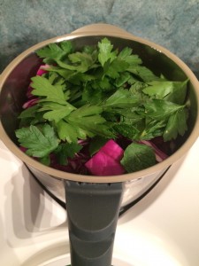 Little Hummingbird - Coleslaw Ingredients in the Thermomix Bowl