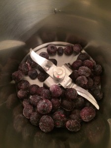 Little Hummingbird - Frozen blueberries