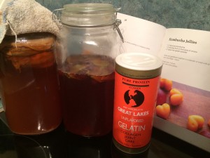 Little Hummingbird - Kombucha Jellies Ingredients