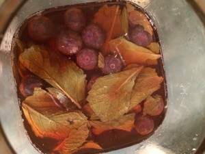 Little Hummingbird - Second ferment kombucha with berries and mint