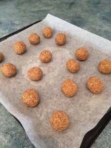 Little Hummingbird - Anzac biscuit balls