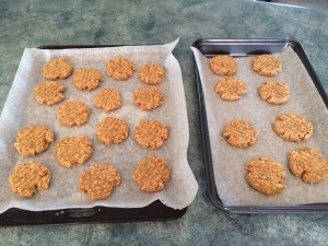 Little Hummingbird - Anzac biscuits ready for the oven