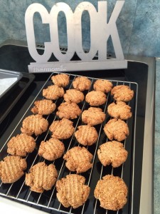 Little Hummingbird - Baked Anzac Biscuits