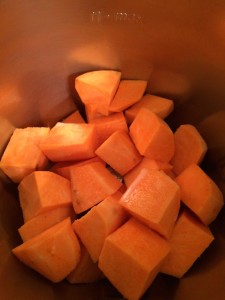 Little Hummingbird - Sweet Potato in the Thermomix