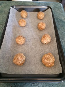 Little Hummingbird - Tray 2 of Anzac biscuit balls