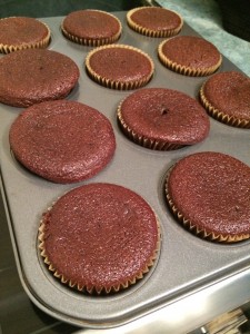 Little Hummingbird - Cooked Chocolate Cupcakes