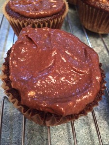 Little Hummingbird - Iced Chocolate Cupcakes