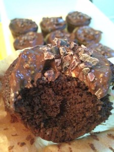 Little Hummingbird - Super Moist Chocolate Cupcakes