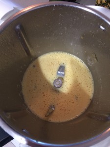 little-hummingbird-blended-wet-ingredients